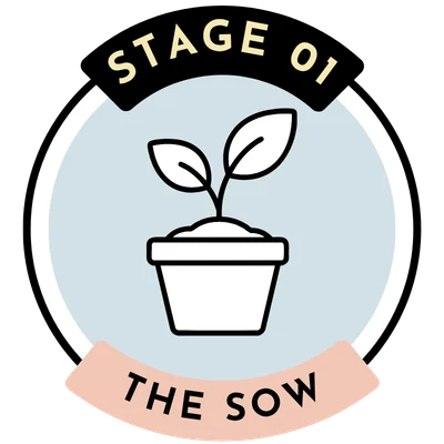 Stage